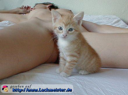 lustiges_bild_geile_pussy.jpg