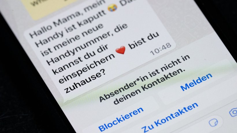 www.abendblatt.de