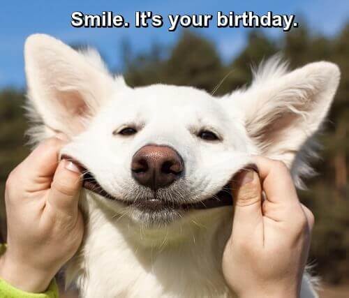 Smile-Its-Your-Birthday-Dog_mini-tiny.jpg