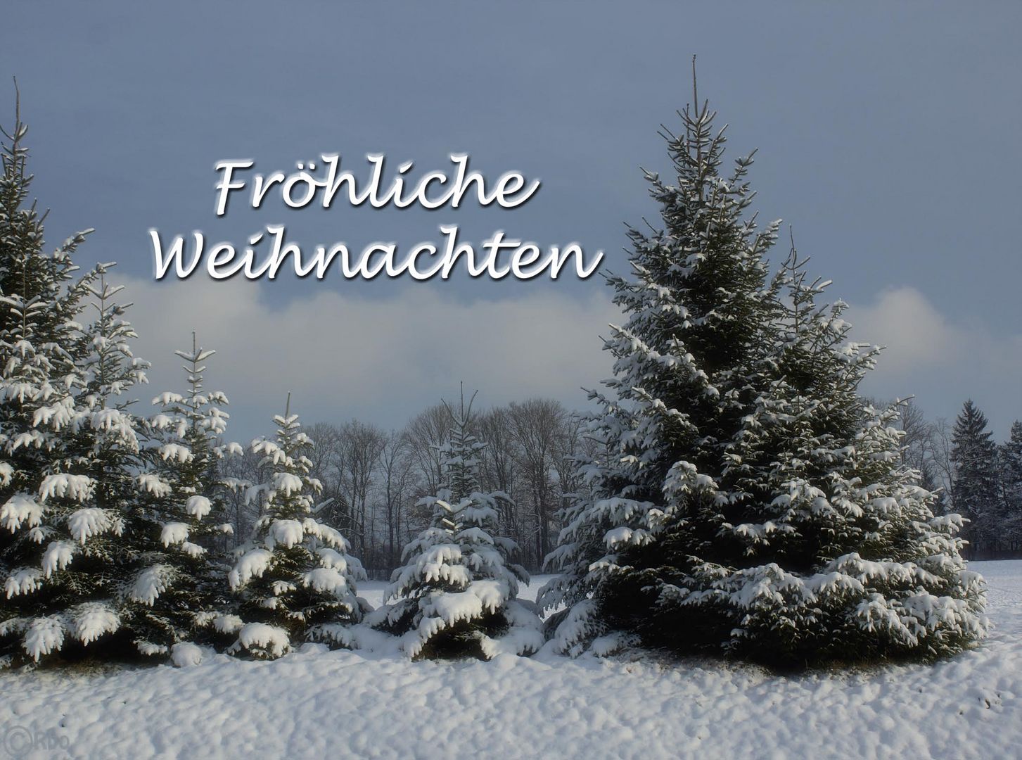 froehliche-weihnachten-d25cc18d-936a-47f3-928e-85430d5591a2.jpg