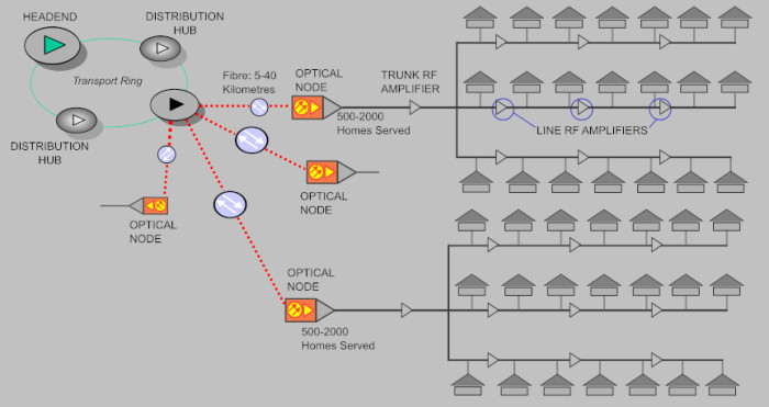 Schematische Darstellung des Aufbaus eines HFC-Netzes